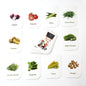 Kidkraft 32-piece Educational Vegetable Flash Cards Set